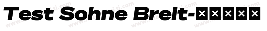 Test Sohne Breit字体转换